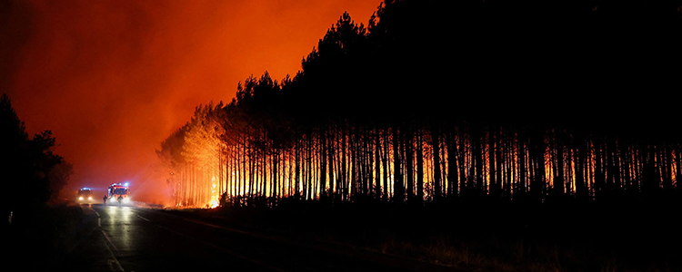 Wildfire/Prescribed Burns High Stakes Liability Battles